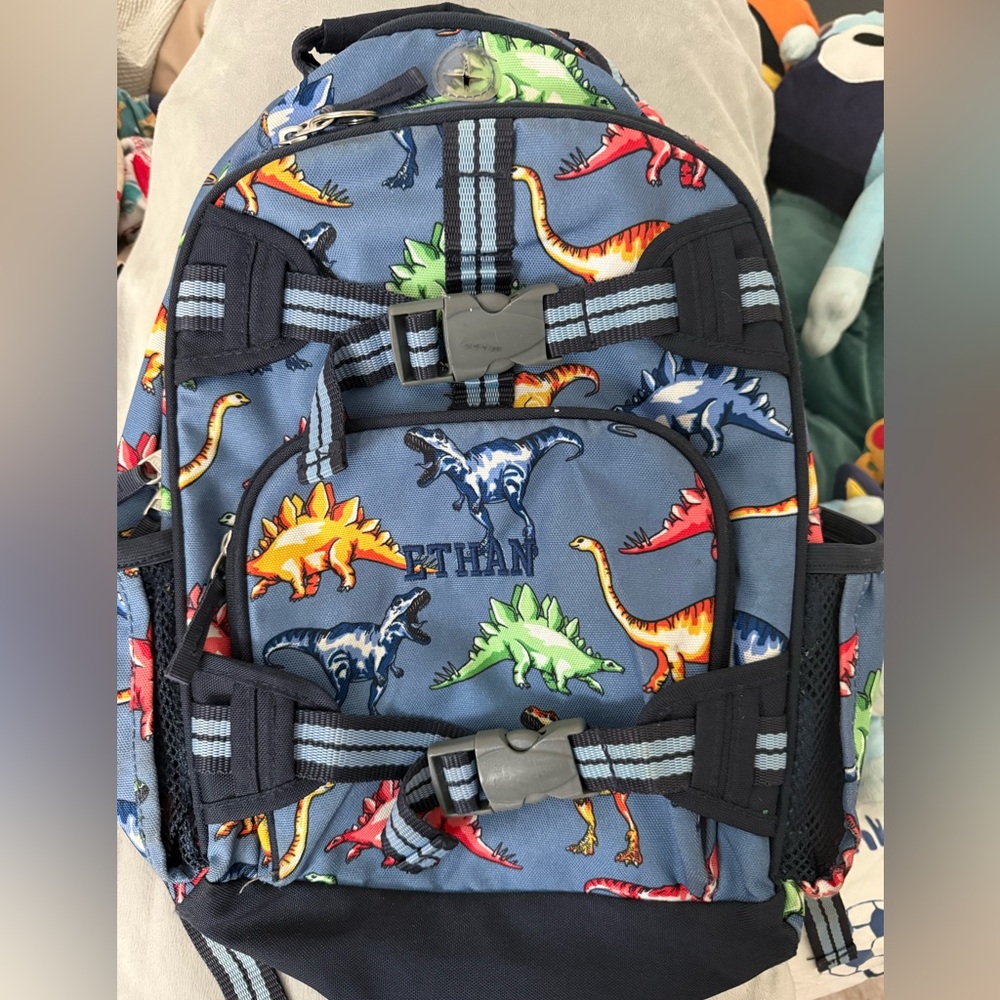 Pottery barn “Ethan” Backpack